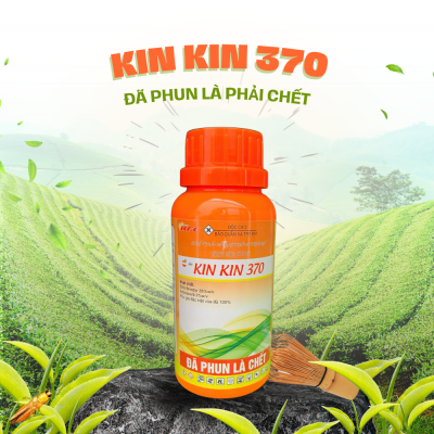 KIN KIN 370
