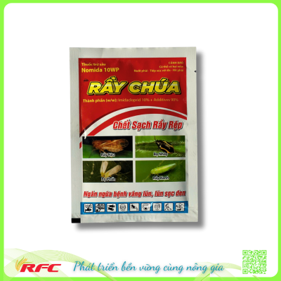 Rầy chúa