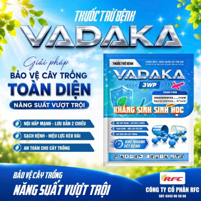 Thuốc đặc trị bệnh thối nhũn